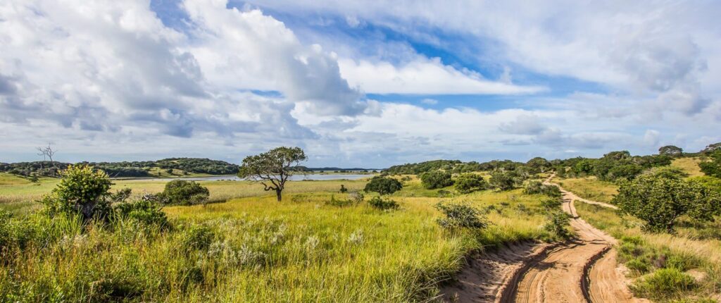 Infinite Africa Travel Mozambique Anvil Bay Elephant Reserve Dirtroad