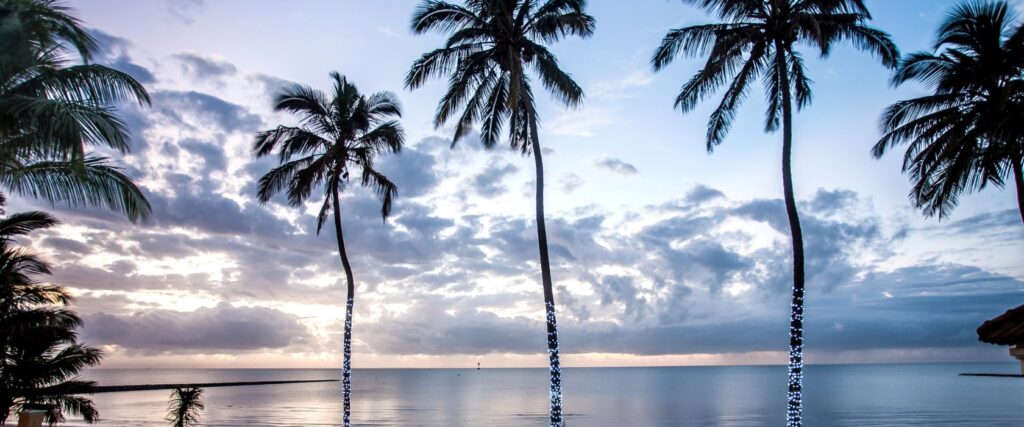 2124 1fa6e3bb7e94a5b6132ad2a3cc5424d2